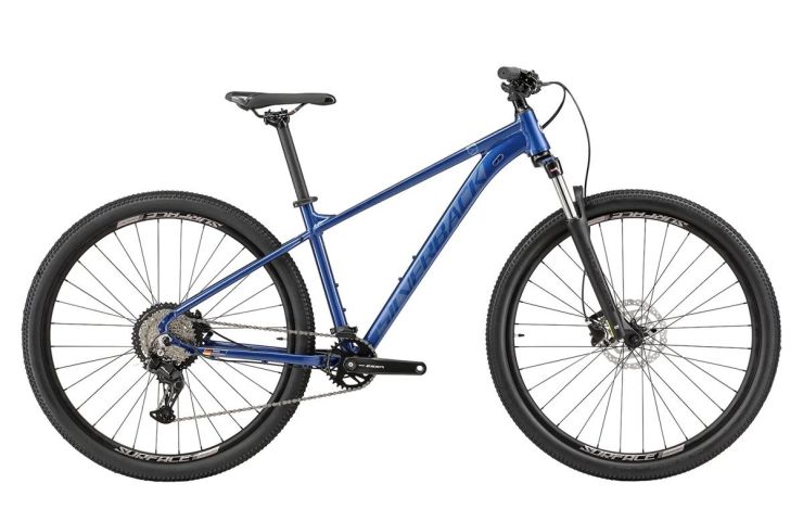 silverback-bike.jpg